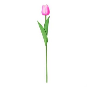 Tulipa 3,5 cm - 30cm - Pink