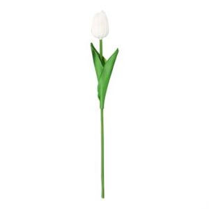 Tulipa 3,5 cm - 30cm - Branco