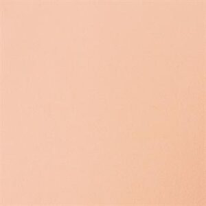 Placa de Eva Liso 40cm x 48 cm- Pct  c/ 10 fls - Nude (pastel)